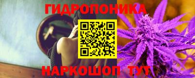 прущая мука Лесосибирск