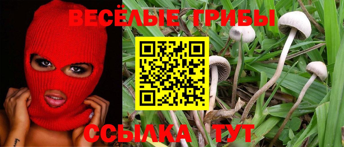 Галлюциногенные грибы GOLDEN TEACHER Златоуст