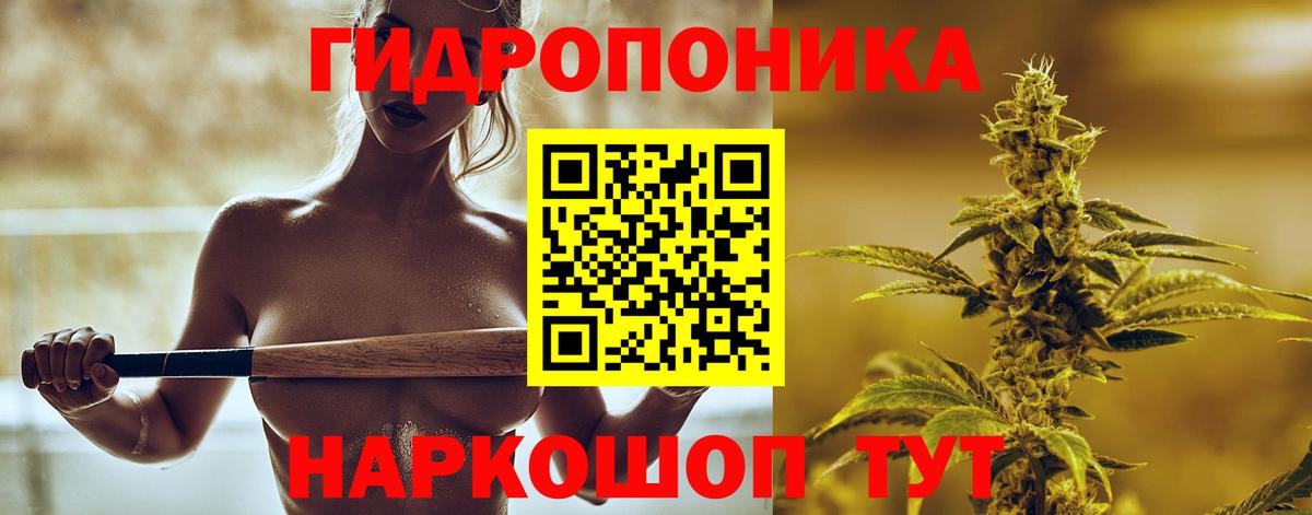 Каннабис индика  Конопля тримм  Конопля план  Вход с VPN  Бошки марихуана White Widow  Златоуст 